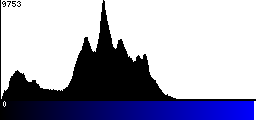 Blue Histogram