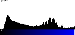 Blue Histogram