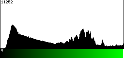 Green Histogram