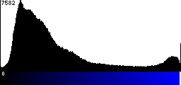 Blue Histogram