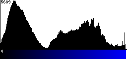 Blue Histogram
