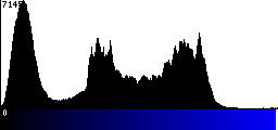 Blue Histogram