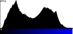 Blue Histogram