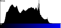 Blue Histogram