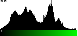 Green Histogram