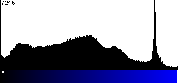 Blue Histogram