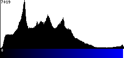 Blue Histogram