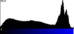 Blue Histogram