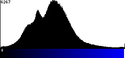 Blue Histogram