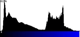 Blue Histogram