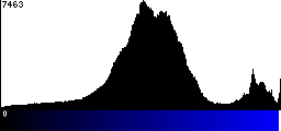 Blue Histogram