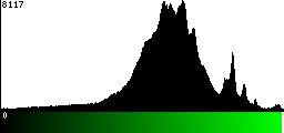 Green Histogram
