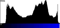 Blue Histogram
