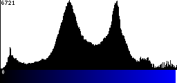Blue Histogram