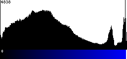 Blue Histogram