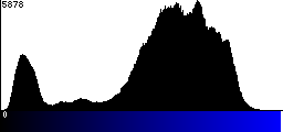 Blue Histogram