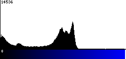 Blue Histogram