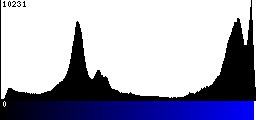 Blue Histogram