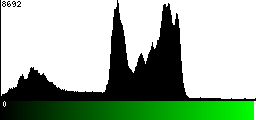 Green Histogram