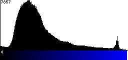 Blue Histogram