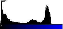 Blue Histogram