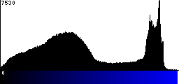 Blue Histogram