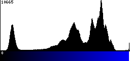 Blue Histogram