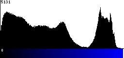 Blue Histogram