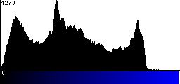 Blue Histogram