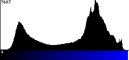 Blue Histogram