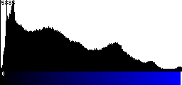 Blue Histogram