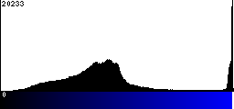 Blue Histogram