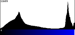 Blue Histogram
