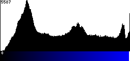 Blue Histogram