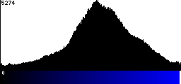 Blue Histogram