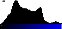 Blue Histogram