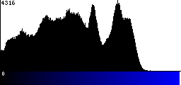 Blue Histogram