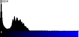 Blue Histogram