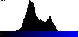 Blue Histogram