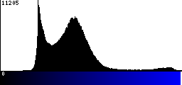 Blue Histogram