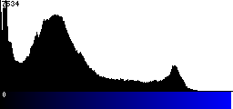 Blue Histogram
