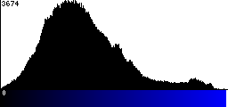 Blue Histogram