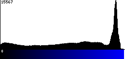 Blue Histogram
