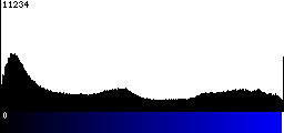Blue Histogram
