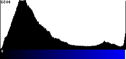 Blue Histogram