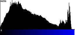 Blue Histogram