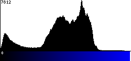 Blue Histogram