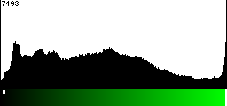 Green Histogram