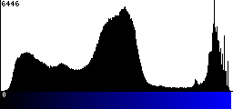 Blue Histogram