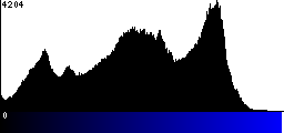 Blue Histogram